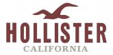 Pacote camisa hollister Com 30 camisas